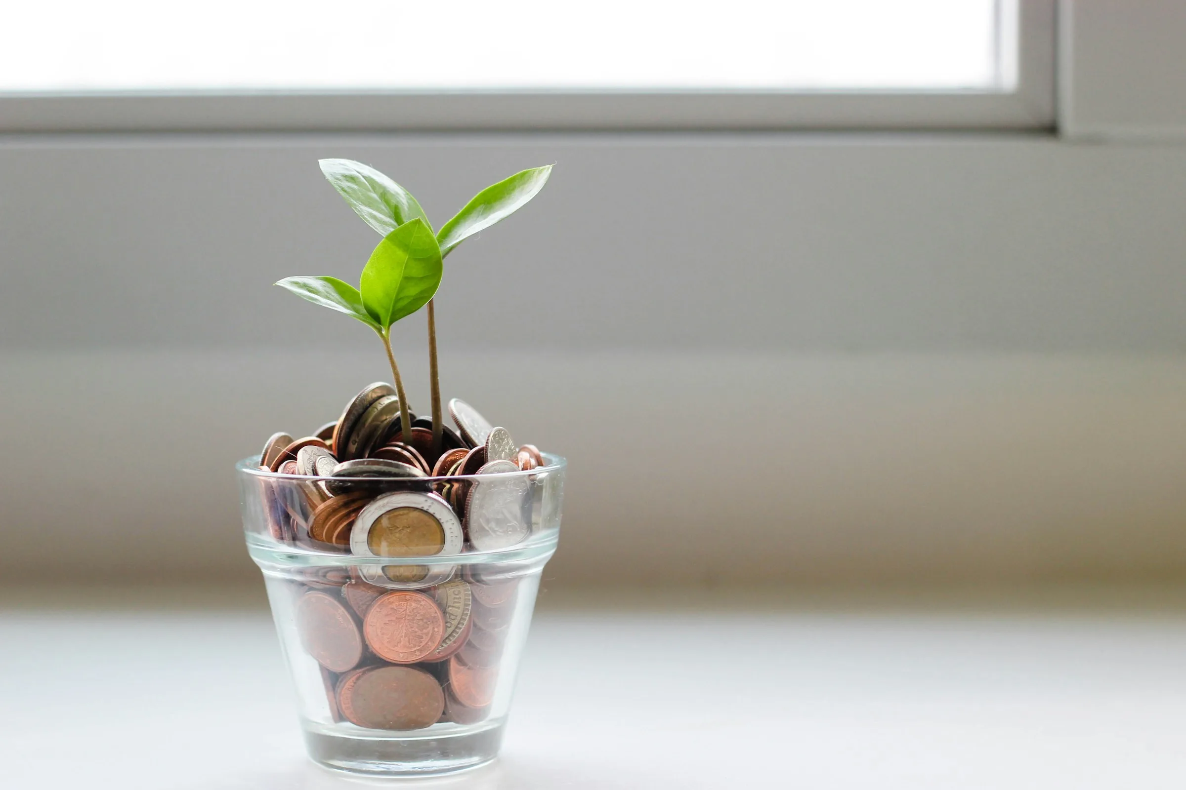 A small green plant growing from a clear glass cup of coins