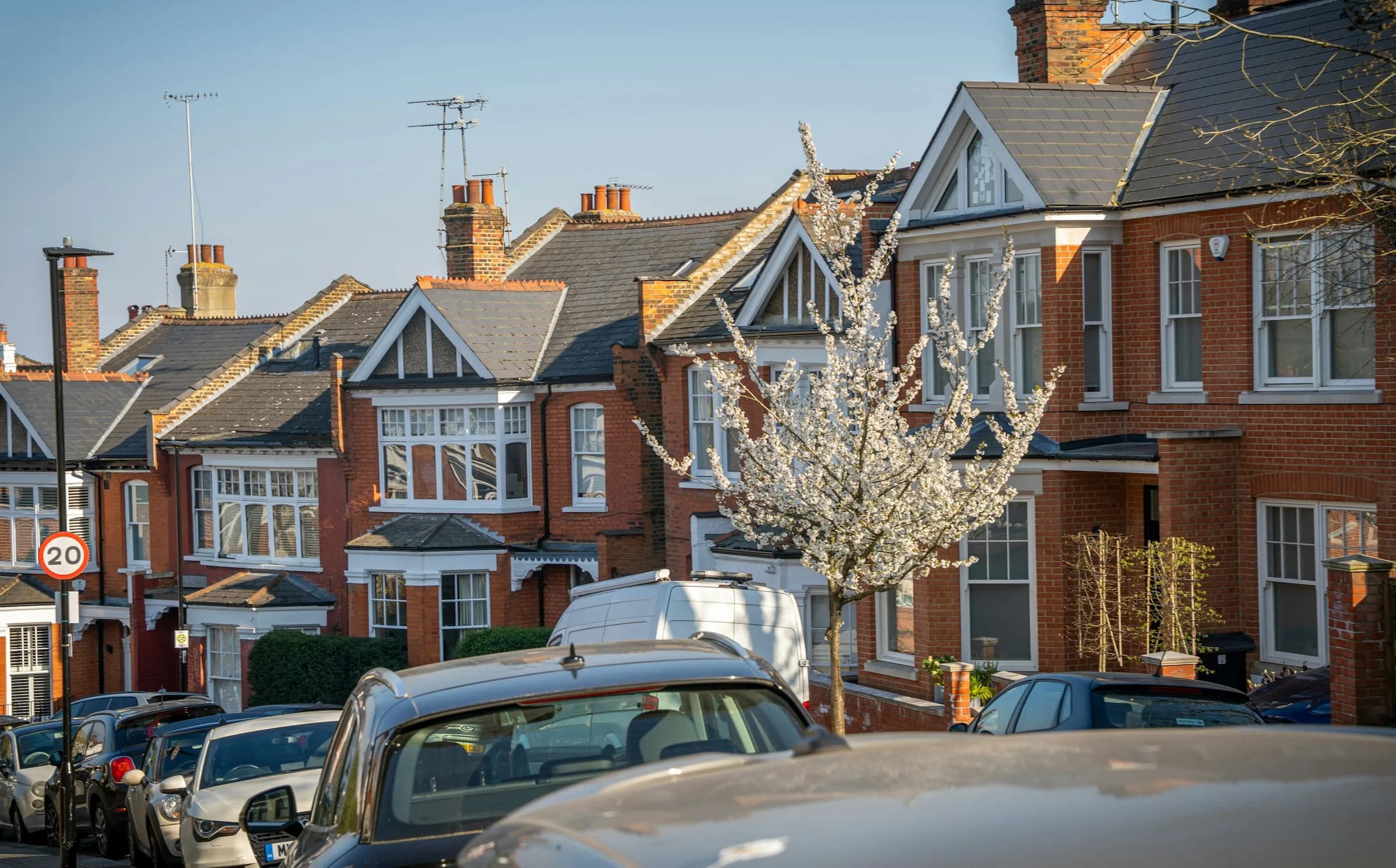 A street of red-brick Edwardian houses with bay windows and gables, a white blossom tree and parked cars in front, with a 20 mph sign on the left.