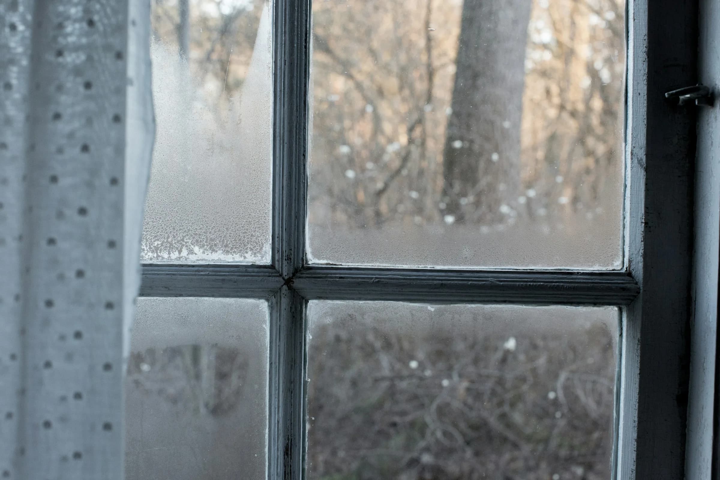 A small-paned window with condensation misting the lower glass, a net curtain at the left and bare trees outside.