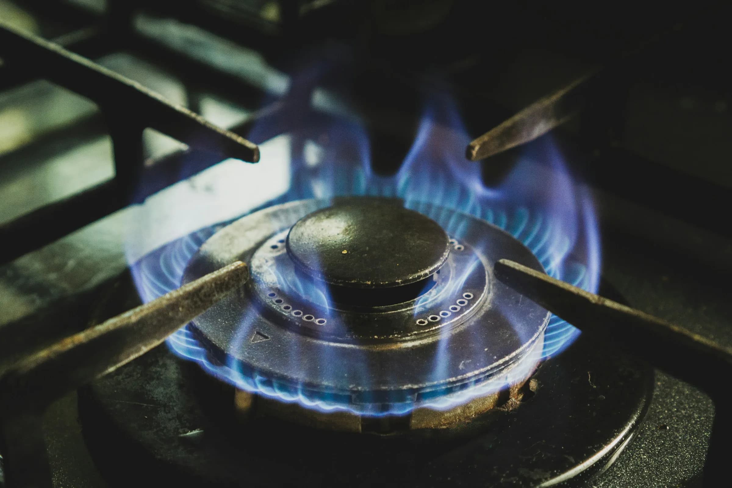 Blue flames burning on a gas hob ring.