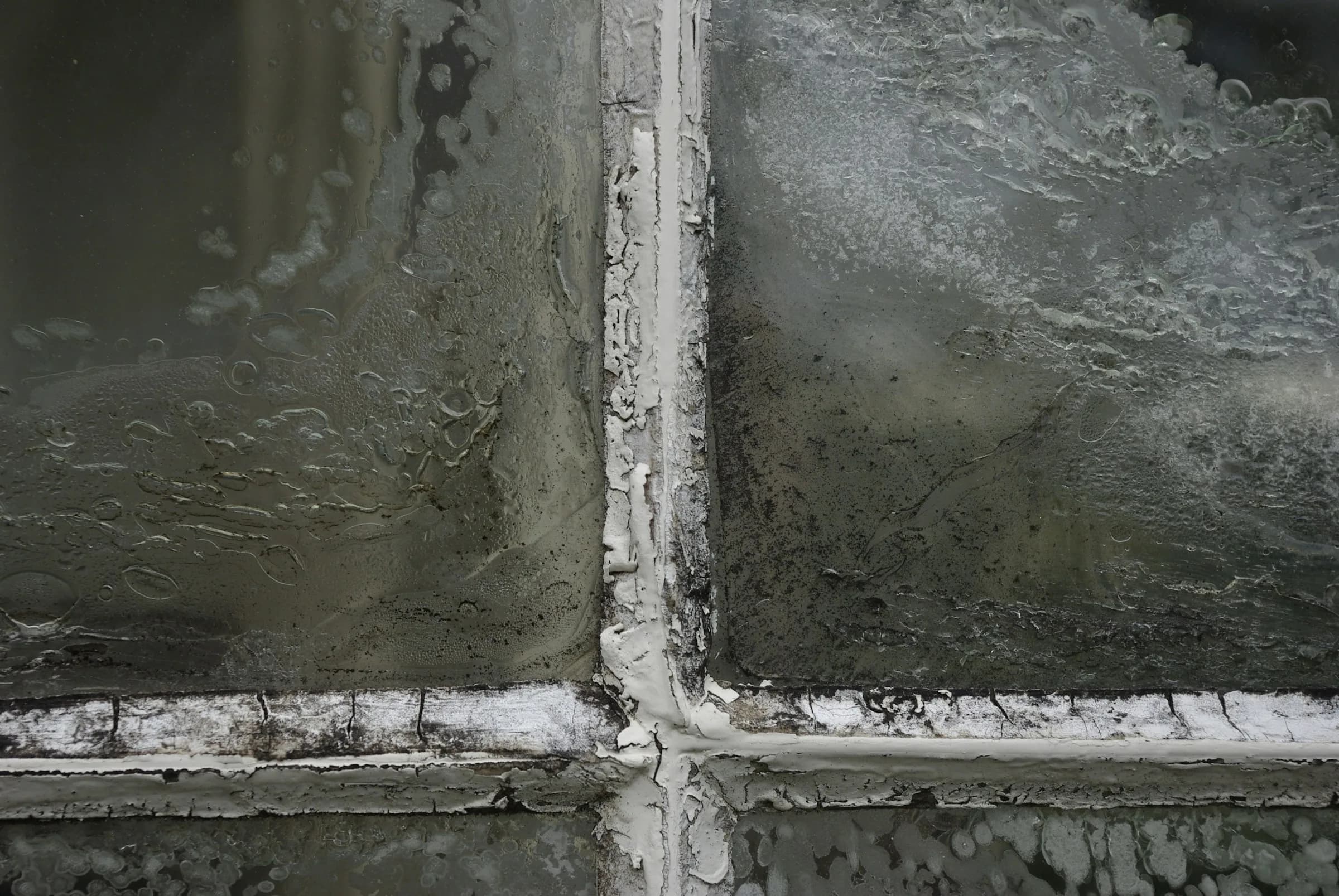 A close view of a window with four panes covered in condensation and dark mould spots, with flaking white paint on the frame.
