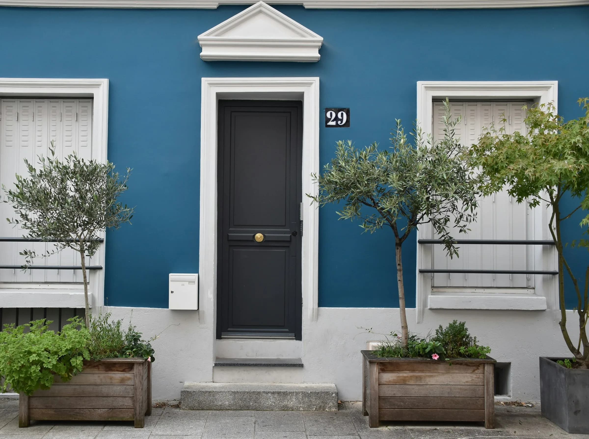 A black front door set in a blue painted facade with white surrounds and potted olive trees