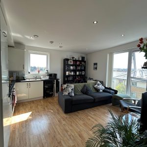 Open plan living area