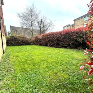Communal Garden