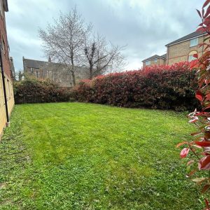 Communal Garden Area