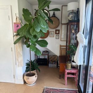 Bedroom Four Loft room