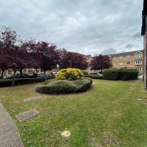 Front communal garden area
